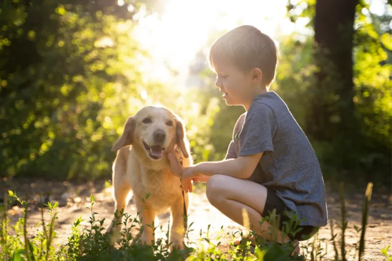 criança acariciando um cachorro ao ar livre